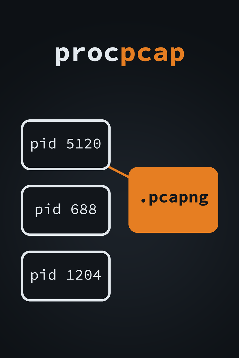 procpcap cover: three process IDs, one of them linked to an orange .pcapng box