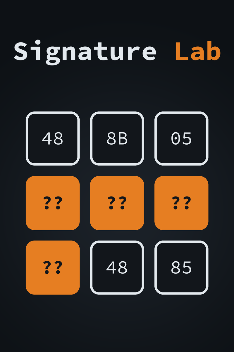 Signature Lab cover: nine byte boxes reading 48 8B 05, four orange wildcards, then 48 85